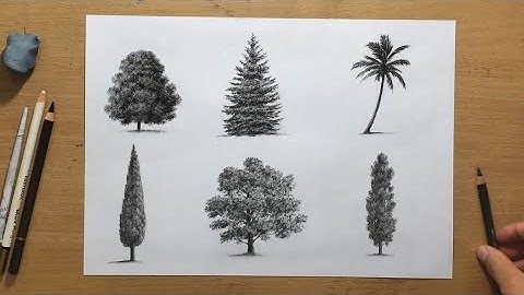 How to Draw Realistic Trees in Charcoal