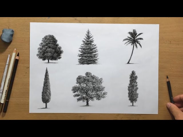 Buy Original Charcoal Drawing Nature, Trees Art Drawing, Moon Online in  India - Etsy