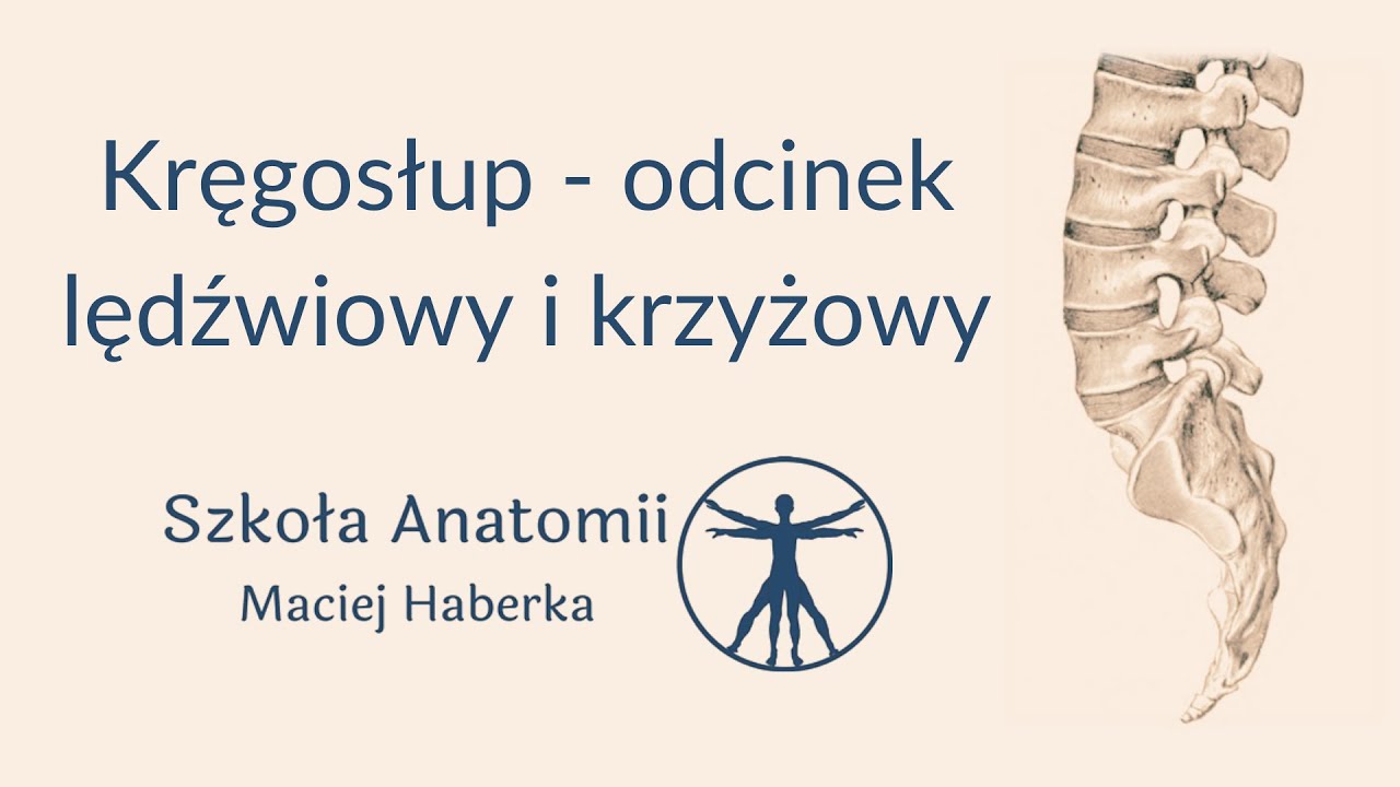 kr-gos-up-odcinek-l-d-wiowy-i-krzy-owy-pe-na-wersja-youtube