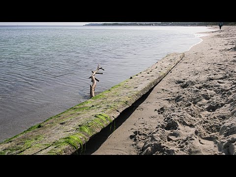 Video: Kozácké formace během druhé světové války: červená hvězda proti hákovému kříži na kozáckých kloboucích