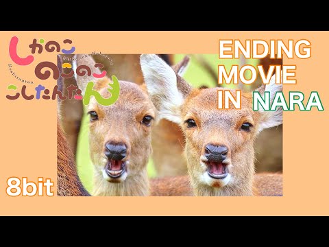 鹿せんべいの歌（The Deer Cracker March） - 奈良公園バージョン (My Deer Friend Nokotan)