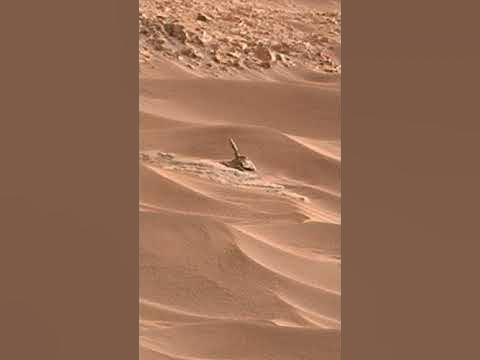 Som ET - 58 - Mars - Curiosity Sol 703 - Video 1 #Shorts