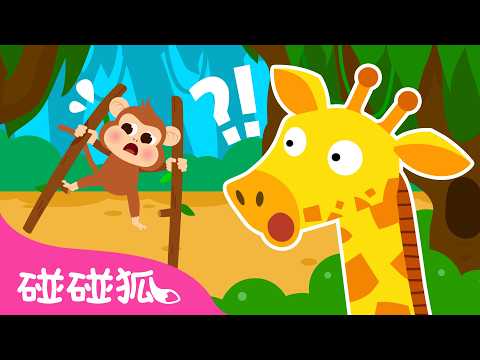🙈 爱模仿的小猴子｜动物音乐剧｜Monkey See, Monkey Do｜故事儿歌｜儿童故事｜亲子阅读｜启蒙教育｜早教｜碰碰狐Pinkfong