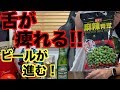 おつまみ【麻辣青豆】マーラーグリーンピース（ビールが進む台湾の【おつまみ】見つけた！）