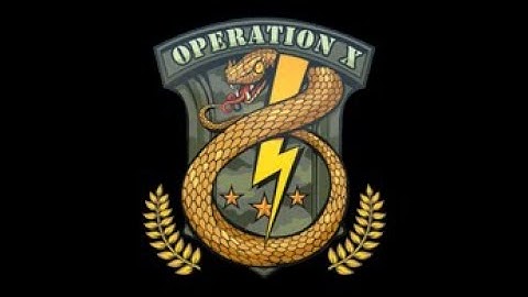 CS:GO Sticker Showcase - Badge of Service