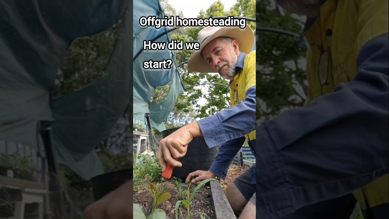 we didnt just buy land. 