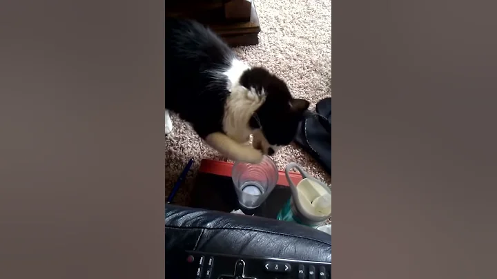 Missy gets her milk