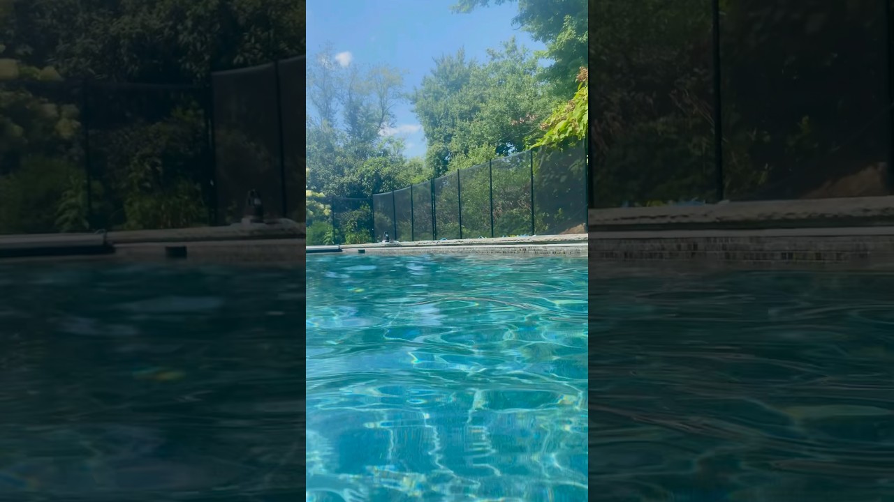 pool day! 🩵☀️ | fall or spring? 