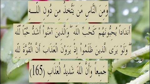 القران الكريم سورة البقرة الاية 165