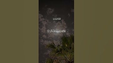 🔊 تلاوة خاشعة جداً للشيخ علي جابر | تهز القلوب 💚 #علي_جابر