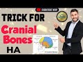 Trick to Remember Cranial Bones Easily 🩻 | Skull Bones Mnemonic for NHPC & Loksewa