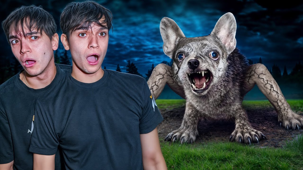 HOW DID THIS HAPPEN TO MY DOG??