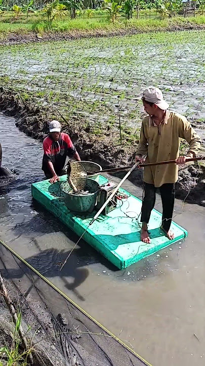 dengan alat ini ikan mudah di tangkap #fishing #advanture #videotrending