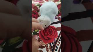 He Is Enjoying   bluebird bird babyparrot