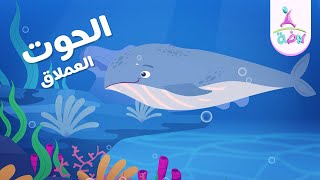 نشيد الحوت العملاق 🐳 (كامل) | جديد قناة روضة للأطفال
