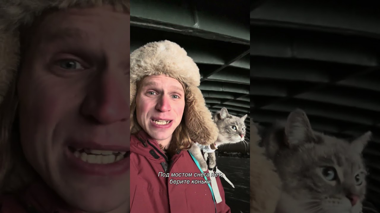 Экскурсии по каналам с котиком😁