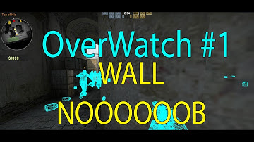 CSGO Overwatch#1 Um hacker muito noob