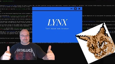 The Lost Art of Terminal Web Browsing