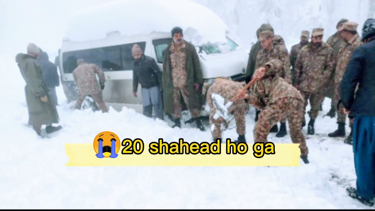Murre Snowfall 2022))Murre accident ))murre ma Qya..mat