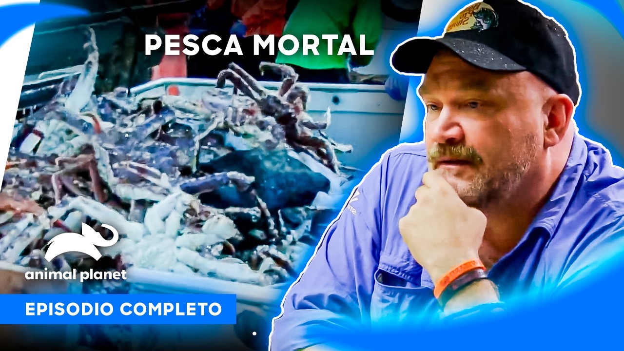 🔴 Episodio completo | Pesca Mortal - S11 Ep1 | Animal Planet Latinoamérica