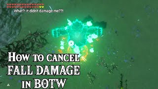 How to cancel FALL DAMAGE in BOTW (without using paraglider)