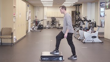 T - Step up with Hip Flexion
