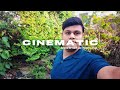 Aesthetic Village Cinematic Vlog @aishwarymalakar