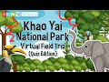 Biodiversity and Ecosystem Features in C Yai