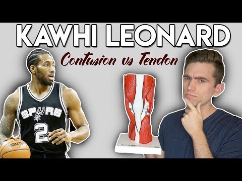 Kawhi Leonard Injury | Quad Contusion vs Tendinopathy