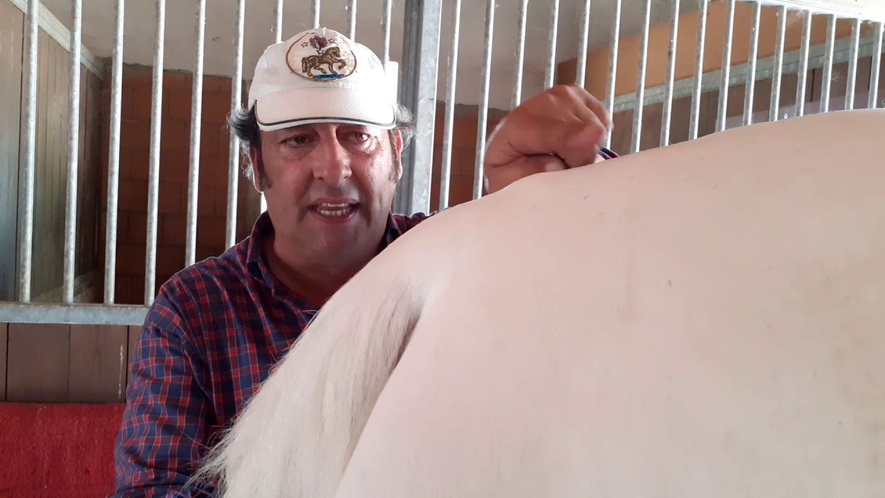 AIASE - WIND UN PAINT DAVVERO MESSO MALE