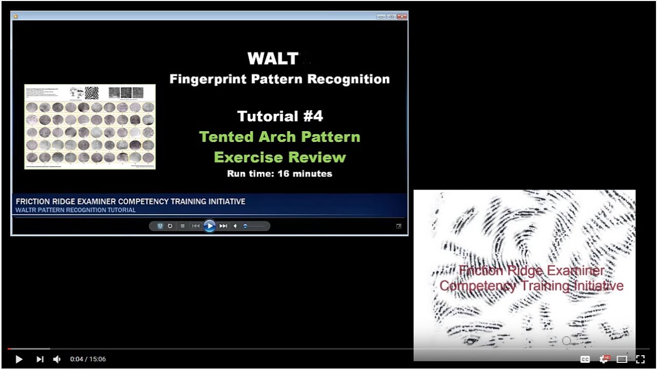 2B WALT Tented Arch Review