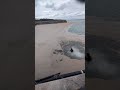 130キロ海に落ちる！#shorts