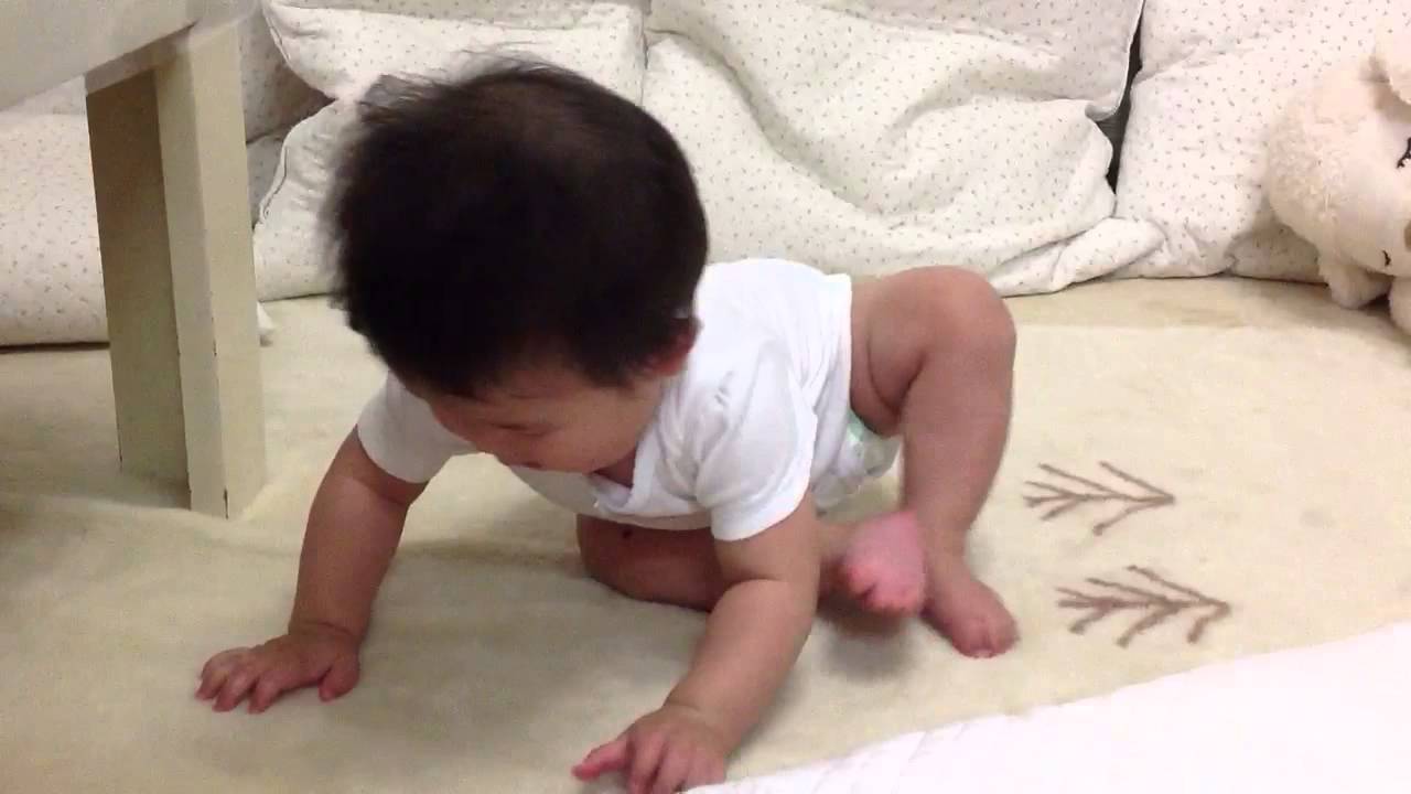 四つん這いからおすわり Youtube