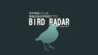 野鳥の鳴き声判別アプリ「BIRD RADAR」のご紹介