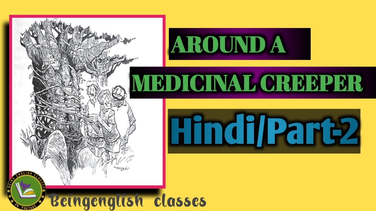 HindiAround a medicinal creeper lesson summary part21st pucbeingenglishclasses YouTube