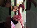 JellyCat London Flora Flamingo Plush Stuffed Animal Bird #tiktokcyprus #cyprus #flamingo