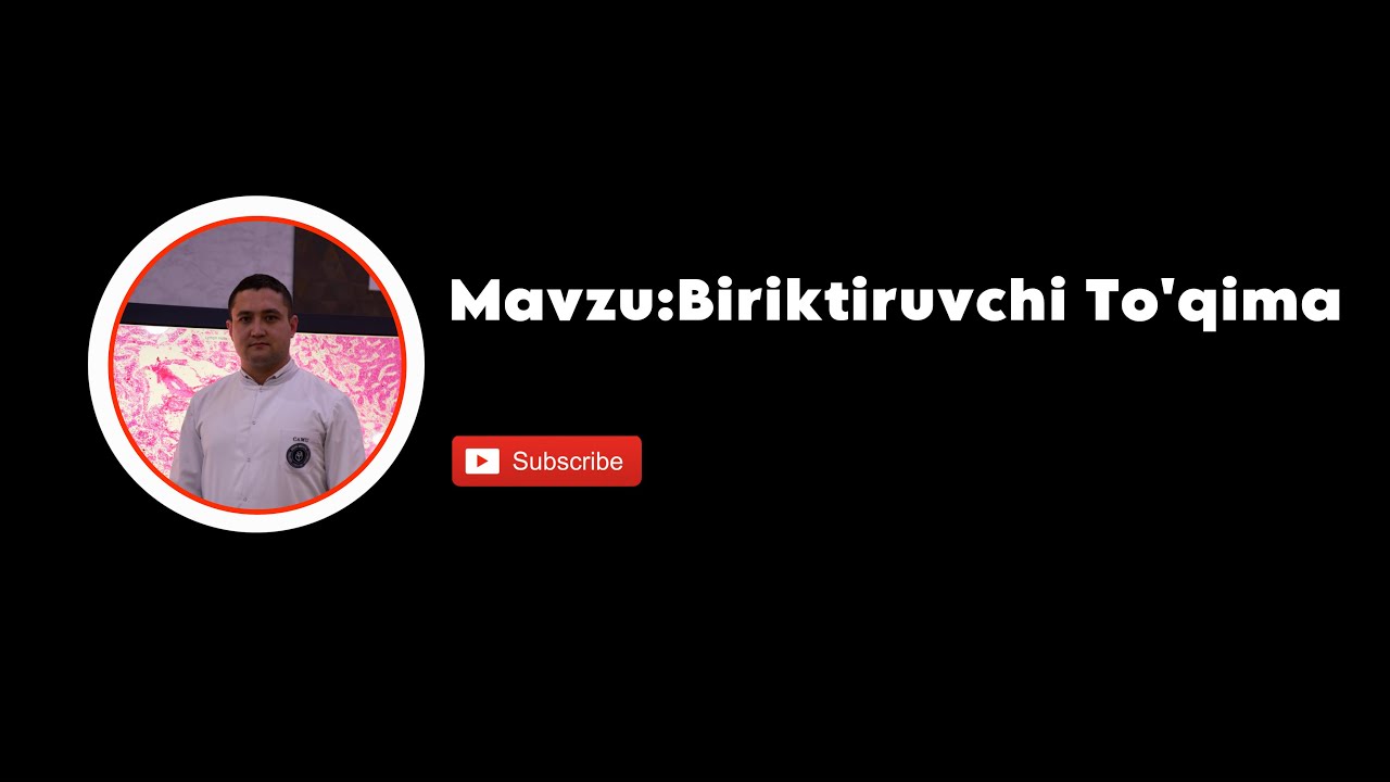 Biriktiruvchi to'qima: Klassifikatsiyasi