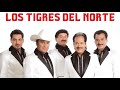 Los Tigres Del Norte Mix 2020 Pa Pistear - Un Mix Para Esos Charitas