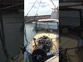 ボートを水に下ろした!いよいよ旅に出発! #shorts
