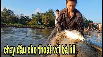 Tuyệt Chiêu Giăng Lưới Neo Gần Bờ Kiếm Cá Cóc Và Cá Sủ Sông Tiền # SĂN BẮT ĐỒNG THÁP #