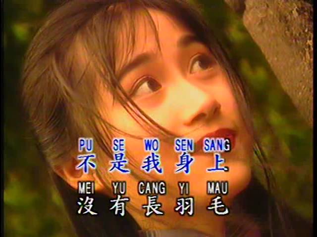 我是一只画眉鸟 Wo Shi Yi Zhi Hua Mei Niao (宝丽金 PolyGram Production - DVD版) class=
