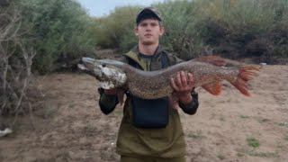 Вот это клюнуло! Огромная щука! Мамка🐟🔥