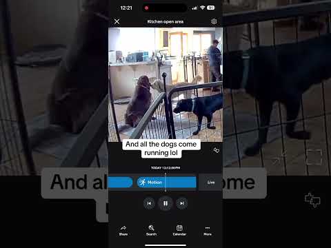 Dog scent detects mood states.