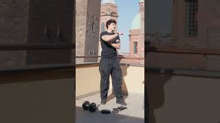 I trained with an Italian Gesture Master @LuisLuis