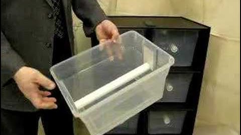 Boaphile RhinoRaXX Arboreal Rack