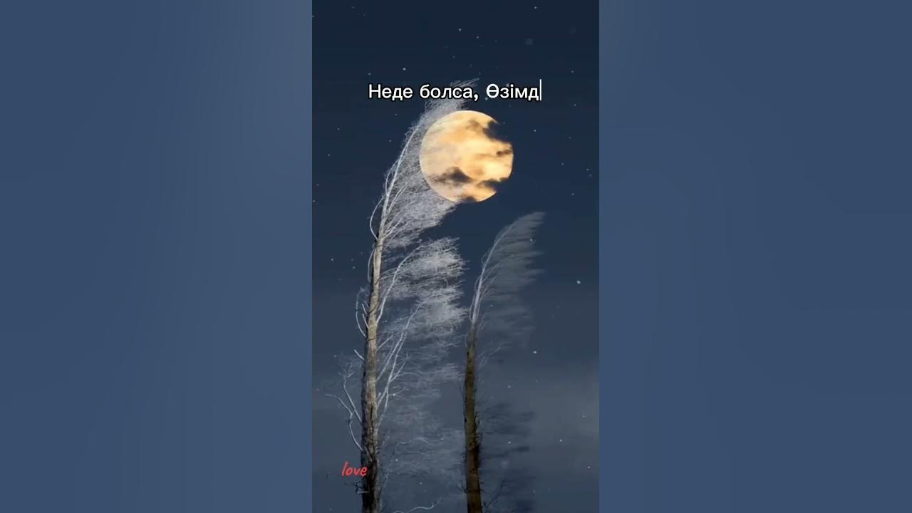 Жалаңаш шұлықтағы қызбен жыныстық қатынас, 18