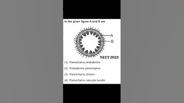 Neet biology questions practice ll pyqs practice #neet #physicswallah #study #mbbs #trending #2026