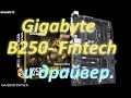 Gigabyte B250- Fintech и разговоры про драйвер.