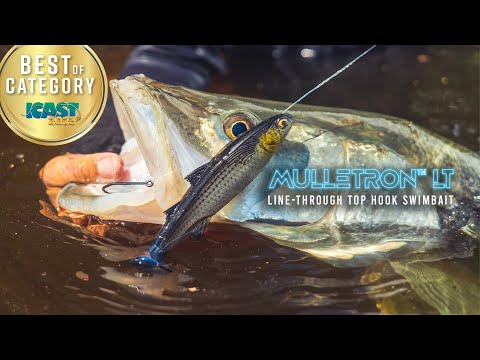 A Deeper Look at the Mulletron LT 