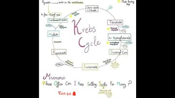 #Krebs Cycle Trick#Bio